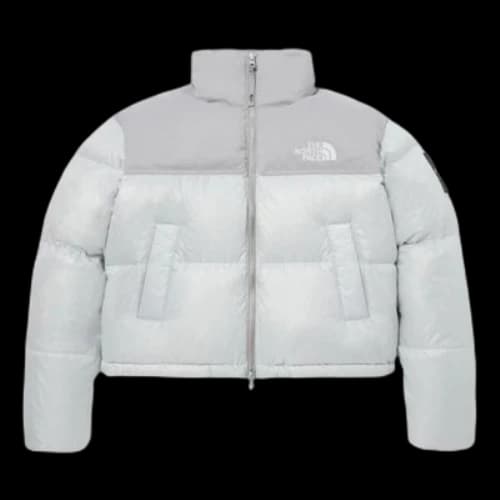 The North Face White Label Novelty Nuptse Down Jacket Asia Sizing 'Ice Grey' (Women's)