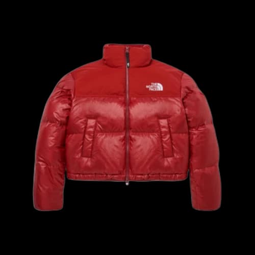 The North Face White Label Novelty Nuptse Down Jacket Asia Sizing 'Dark Red' (Women's)