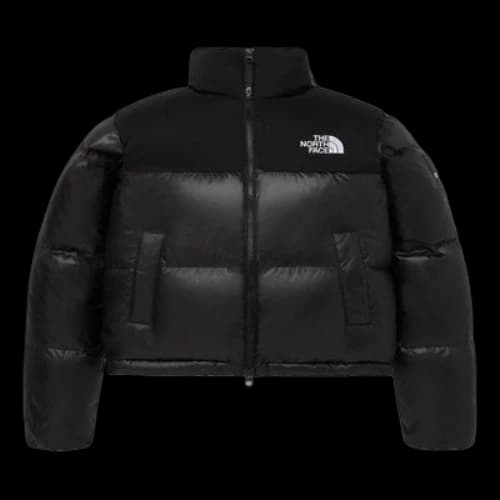 THE NORTH FACE Novelty Nuptse Down Jacket 'Black' (Women's)