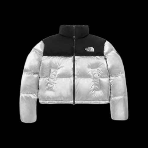 The North Face White Label Novelty Nuptse Down Jacket Asia Sizing 'SE Silver' (Women's)