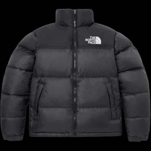 The North Face 1996 Eco Nuptse Jacket Asia Sizing 'Black'
