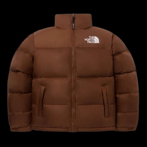 THE NORTH FACE 1996 Retro Nuptse Jacket Asia Sizing 'Brown'