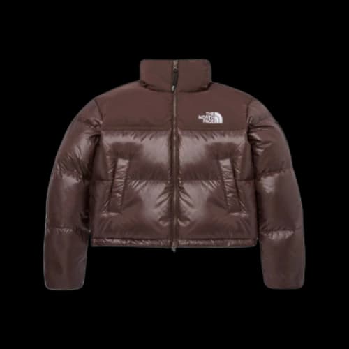 The North Face White Label Novelty Nuptse Down Jacket Asia Sizing 'Cocoa Brown' (Women's)