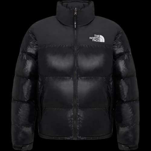 THE NORTH FACE 1996 Retro Nuptse Jacket Asia Sizing 'Black'