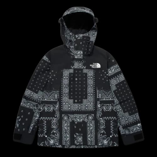 The North Face Novelty GTX Paisley Mountain Jacket Black