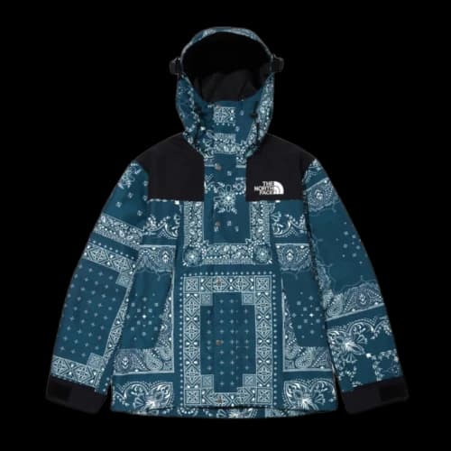 The North Face Novelty GTX Paisley Mountain Jacket Peacock Blue