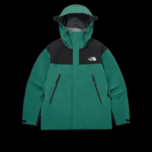 THE NORTH FACE Gore-Tex Mountain 3L Jacket 'Green Black'