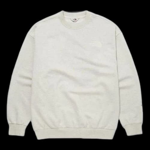 THE NORTH FACE Logo Sweater 'Beige'