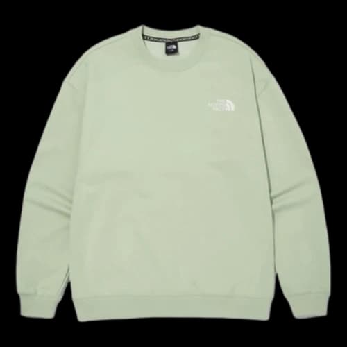 THE NORTH FACE Essential EX Sweatshirt 'Green'