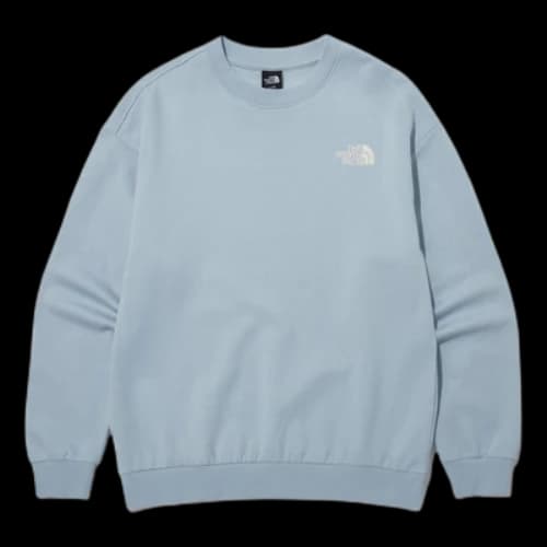 THE NORTH FACE Logo Essential EX Sweatshirt 'Blue'