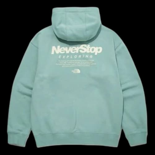 THE NORTH FACE Logo Neverstop Hoodie 'Teal'