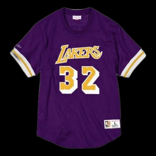 Mitchell & Ness Unisex Johnson Lakers Basketball Purple