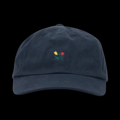 Aimé Leon Dore Brushed Crest Hat 'Blue'