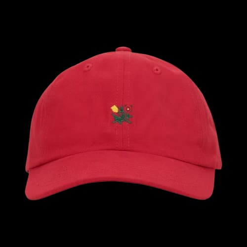 Aimé Leon Dore Brushed Crest Hat 'Red'