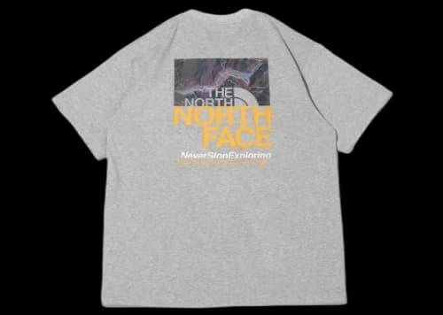 The North Face Half Switching Logo Tee Mix Grey
