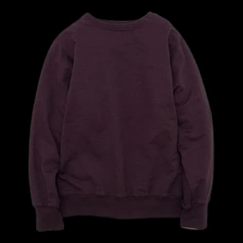 THE NORTH FACE PURPLE LABEL Long-sleeved Unisex Purple