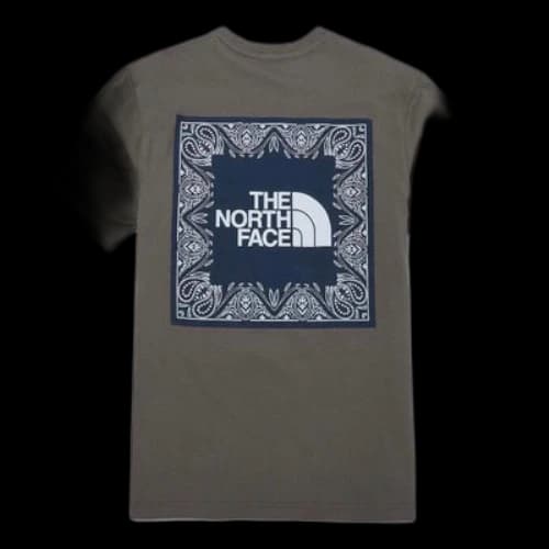 THE NORTH FACE Bandana T-shirt 'Brown'