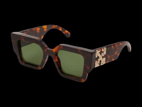 OFF-WHITE Catalina Sunglasses Brown (OERI003C99PLA0016055)