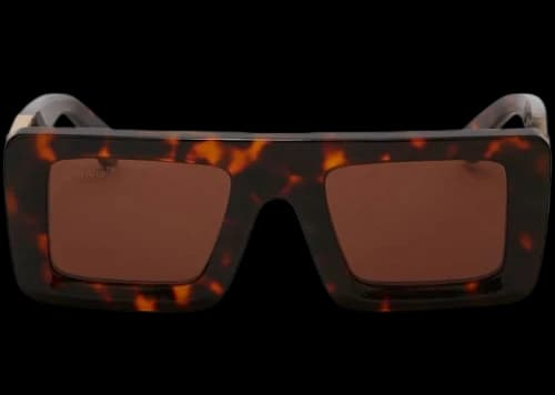 OFF-WHITE Leonardo Sunglasses Havana (OERI049F22PLA0016064)