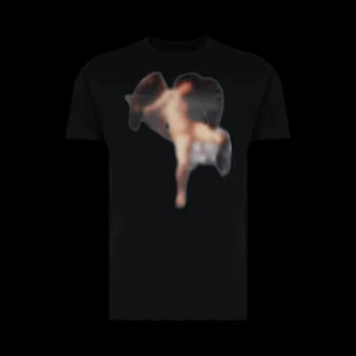 Off-White Blurred Caravaggio Short-Sleeve Slim Tee 'Black'