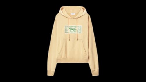 OFF-WHITE Banknote Arrow Skate Hoodie Neutrals