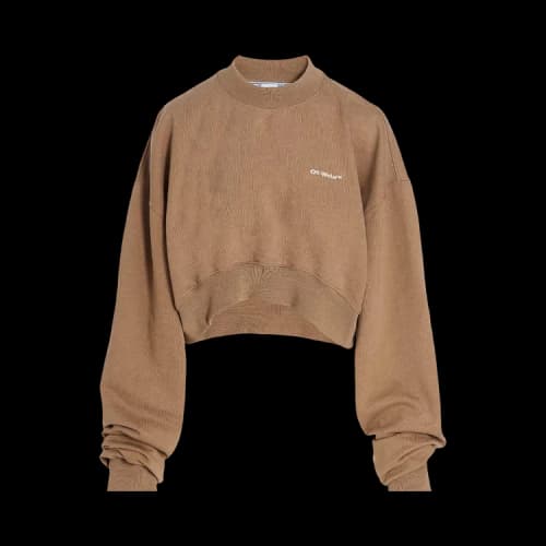 Off-White Logo Print Cropped Sweatshirt 'Brown/White'