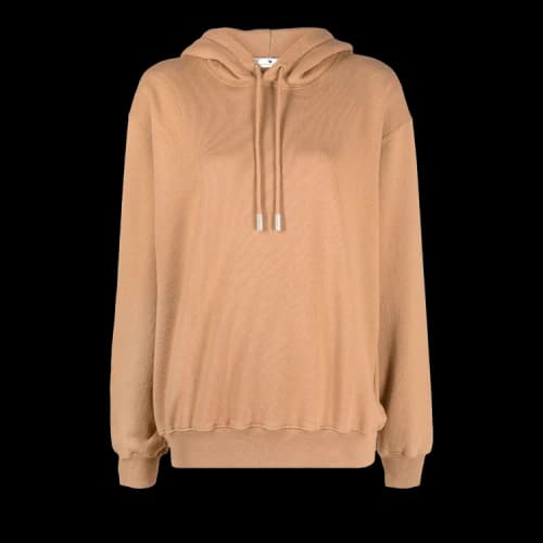 Off-White Diag Regular Hoodie 'Brown'