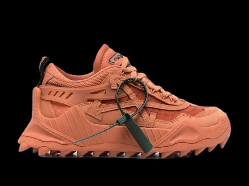 Off-White Odsy-1000 Terracotta (Women's)