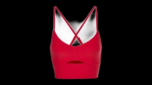 Alo Yoga Alosoft Highlight Sports Bra Bolo Red