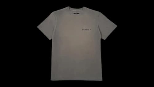 Purple Brand P117-HGGZ425 HWT Jersey S/S Tee Grey