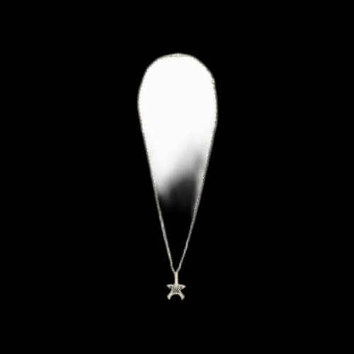 Paris Saint-Germain x DFLY Collector Pendant & Chain For The Champion 10th Title 'Silver'