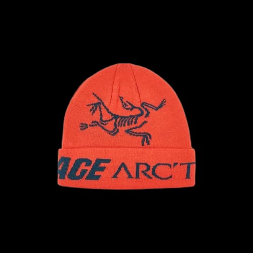 Palace x Arc'teryx Beanie 'Dynasty'