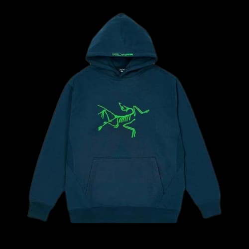 Palace x Arc'teryx Hood 'Teal'