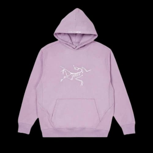 Palace x Arc'teryx Hood 'Haze'