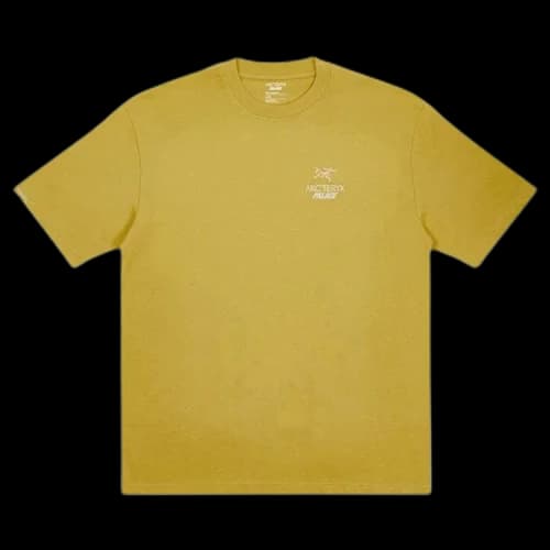 Palace x Arc'teryx T-Shirt 'Gold'