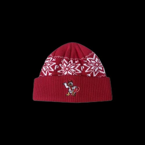 Palace P-Duck Beanie 'Red'