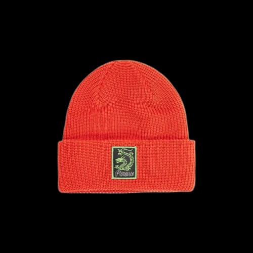 Pleasures Dragon Beanie 'Rust'