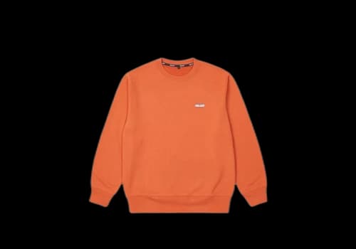 Palace Basically A Crew (FW21) Burnt Orange
