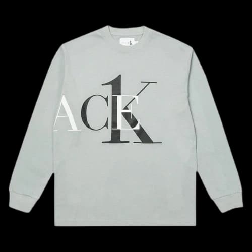 Palace x Calvin Klein Long-Sleeve 'Quarry'