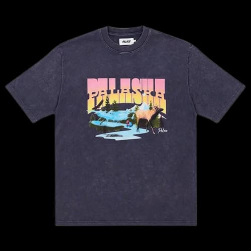 Palace Palaska Dye T-Shirt 'Purple'