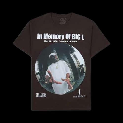 Pleasures In Memorty T-Shirt 'Brown'