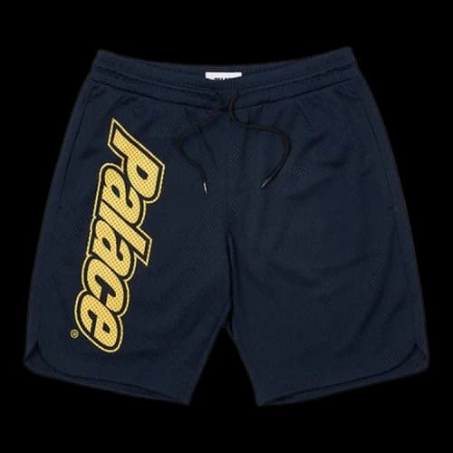 Palace Lowercase Font Shorts 'Navy'