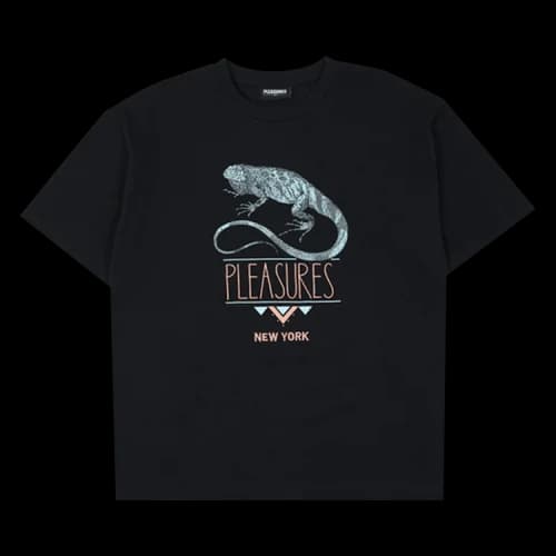 Pleasures Fear Heavyweight Tee 'Black'