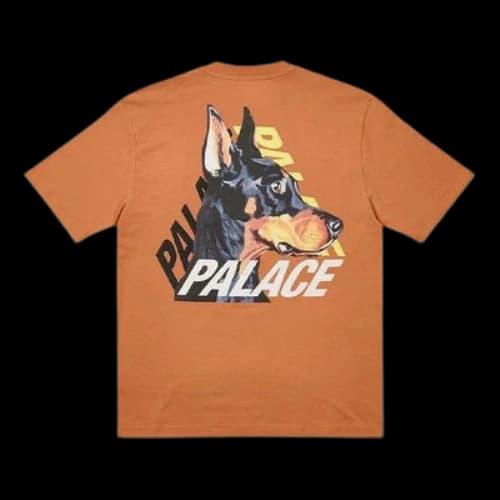 Palace P-3-K-9 T-Shirt 'Caramel'