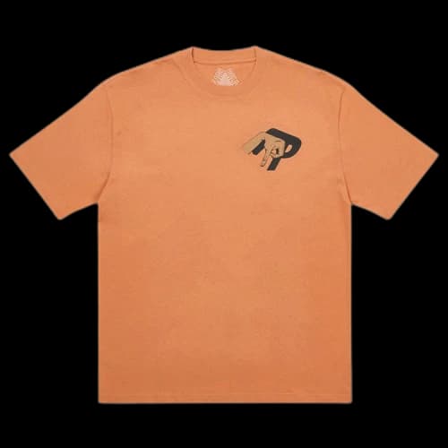 Palace Valley Of The Shadows T-Shirt 'Caramel'