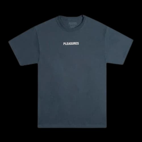 Pleasures Flying T-Shirt 'Slate'