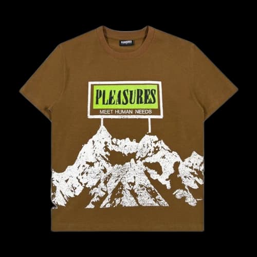 Pleasures Human Needs Heavyweight Tee 'Brown'