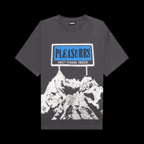 Pleasures Human Needs Heavyweight Shirt 'Grey'