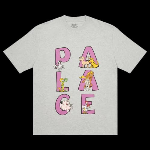 Palace Session T-Shirt 'Grey Marl'