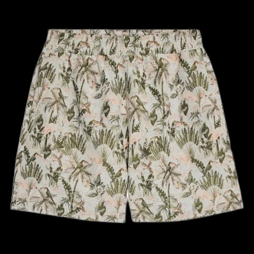 Pleasures Parrot Shorts 'Grey'